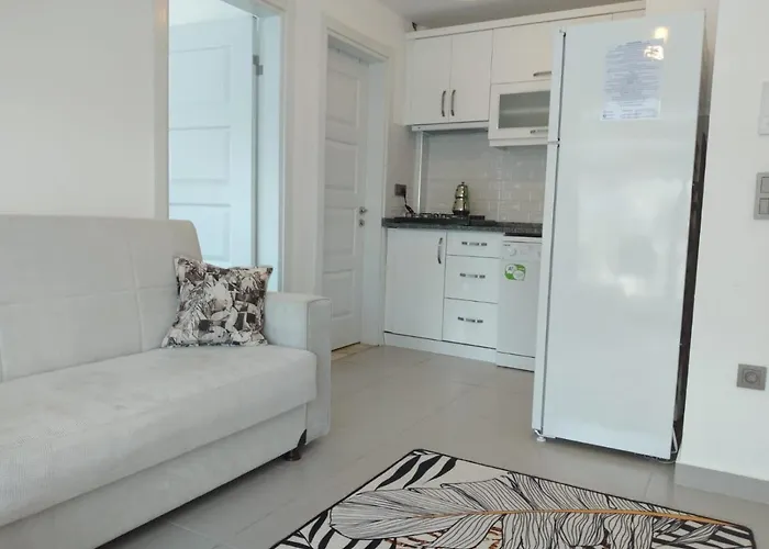 ığdeli Aparts * Fethiye