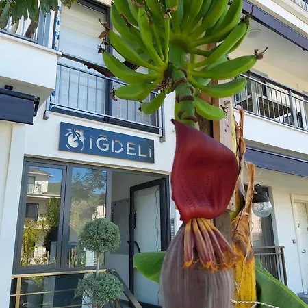 Igdeli Aparts Apartahotel *