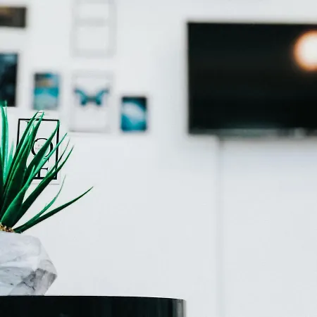 Igdeli Aparts * 费特希耶