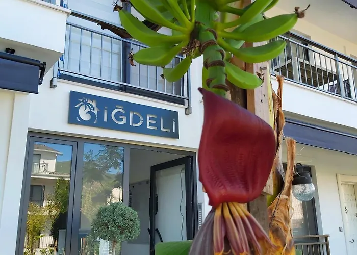 Igdeli Aparts Hotel de apartamente *